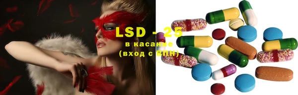 гашик Алзамай