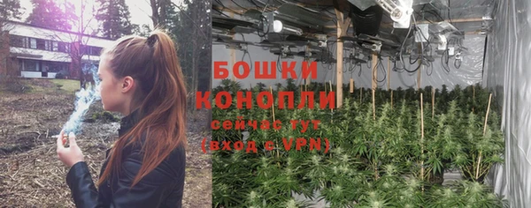 прущий лед Абаза