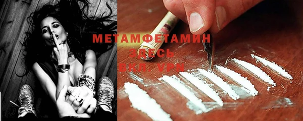 мет Алексин