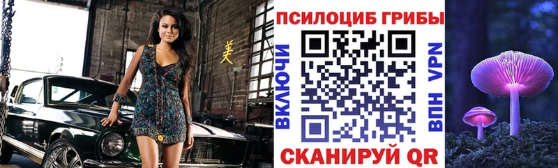 Галлюциногенные грибы Cubensis  площадка как зайти  Шахты  где найти наркотики 