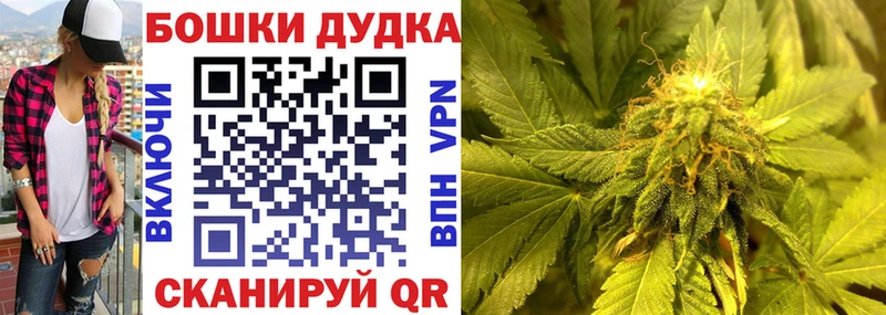 Конопля планчик  Шахты 